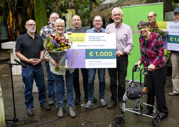 Groene Anjer